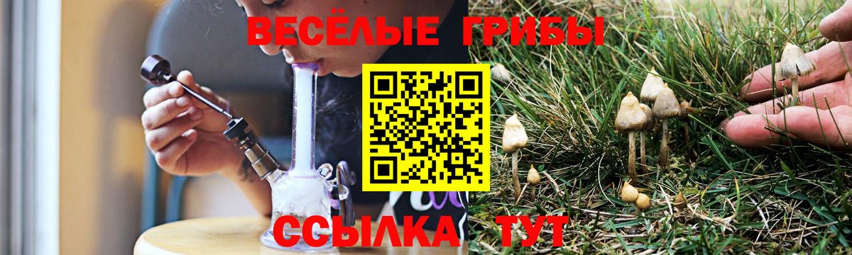 Псилоцибиновые грибы GOLDEN TEACHER  Вход с VPN  Вичуга 